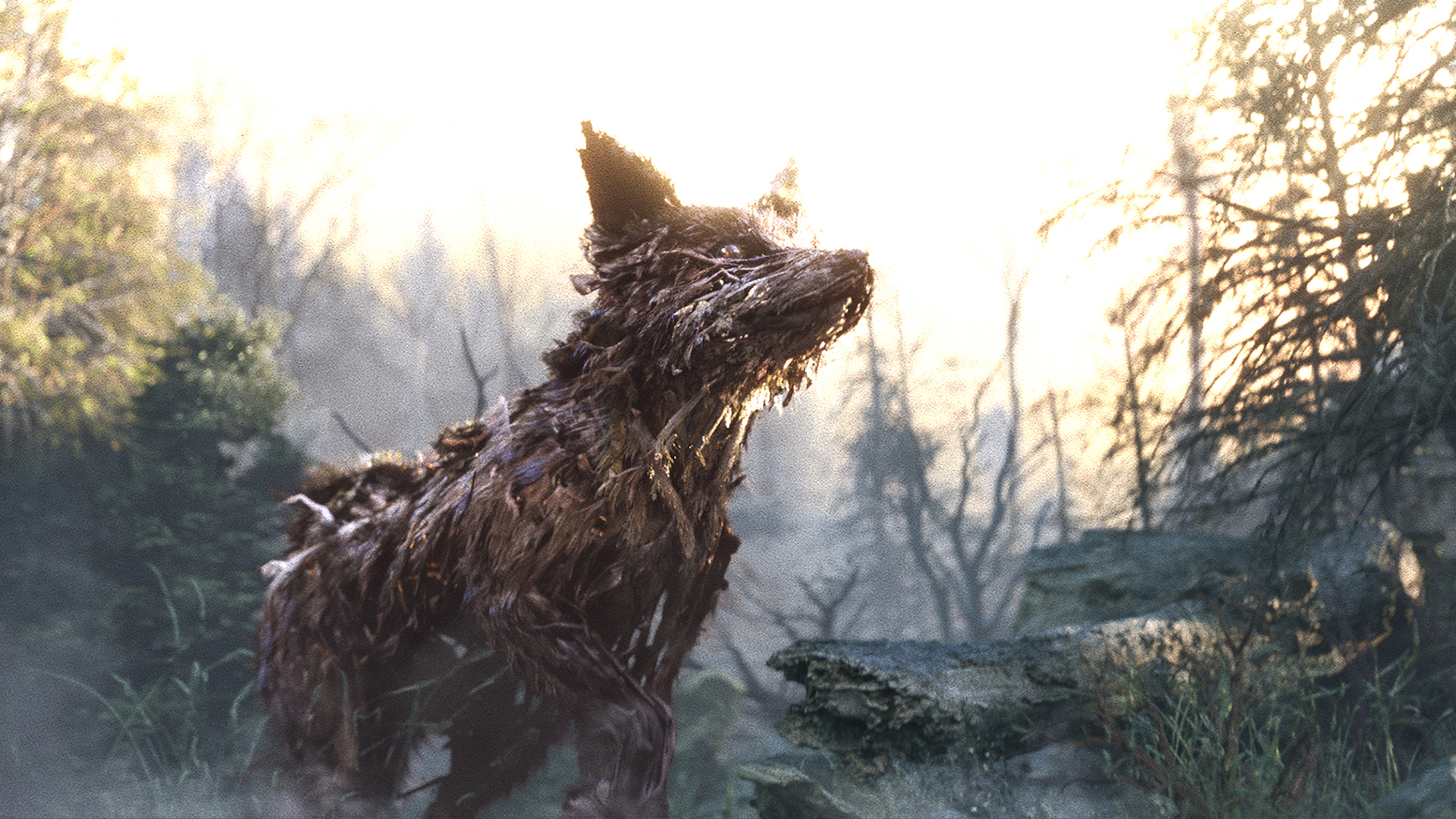 Fmx Calendrier 2023 Keoknnu9Nebdgm